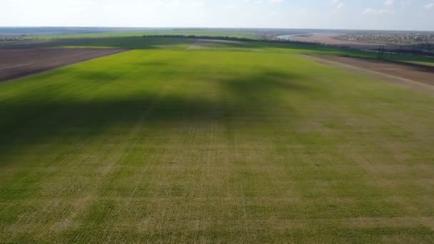 Tiro aéreo de los campos verdes ilimitados en Ucrania, disparado en un día soleado — Vídeos de Stock