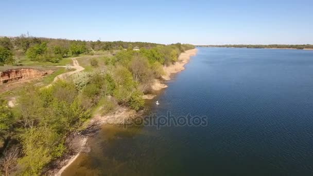 Légi felvétel, a Dnipro-folyó csillogó vizén és a száraz nád a folyóparton — Stock videók