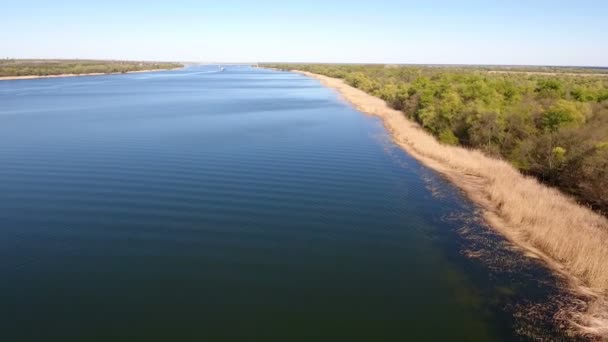 Légi felvétel, a Dnipro folyó élénk vizek és a száraz nád a folyóparton — Stock videók