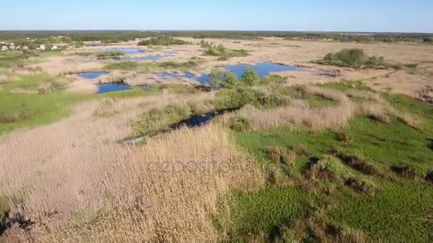 Tiro aéreo del río Dnipro territorio natural salvaje con una gran cantidad de algas — Vídeo de stock