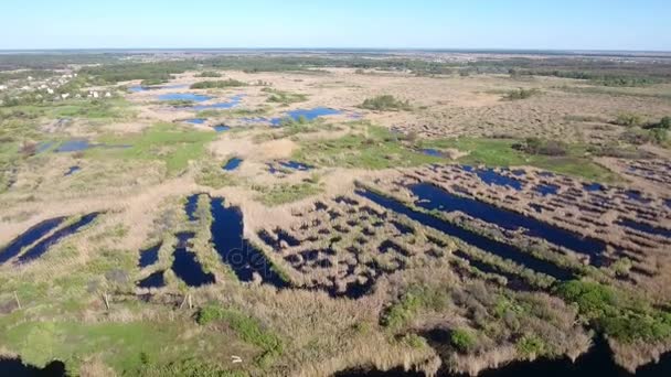 Fotografia aérea do território do rio Dnipro com uma paisagem selvagem na primavera — Vídeo de Stock