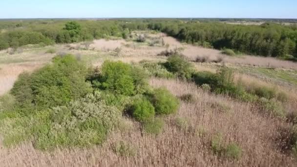 Baja toma aérea de los territorios de la naturaleza salvaje en la cuenca del Dnipro — Vídeos de Stock