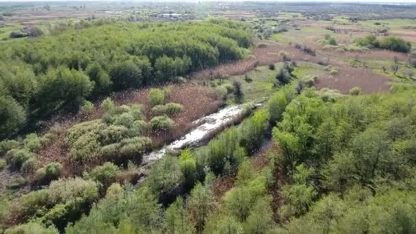 Captura aérea de territorios forestales salvajes en el sur de Ucrania en primavera — Vídeo de stock