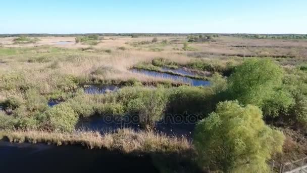 Aerial strzał zakręt rzeki hak z wybrzeża chropowaty i słomy Szukam trawy — Wideo stockowe