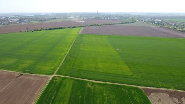 Vue aérienne du carrefour rural situé au milieu de champs fertiles 