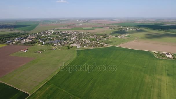 Fotografia aérea dos campos verdes férteis na Europa Oriental no final da primavera — Vídeo de Stock