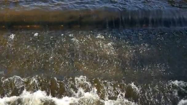 Inondations sur la rivière Vltava non loin de Prague par une journée ensoleillée en automne — Video