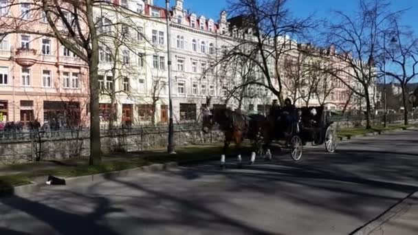 Vienna, Oostenrijk - 30 maart, 2017:Aristocretic paard getrokken rijtuigen op sommige historische straat in Wenen in de zomer — Stockvideo