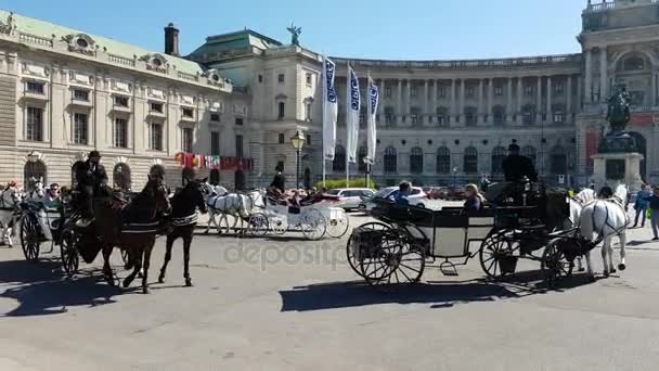 Vienna, Austria - March 30, 2017:Traditional horse drawn carriages on some historic square in Vienna in summer — Stock Video