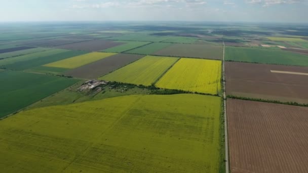 Aerial shot of multicolored fields in Ukraine in a sunny day in spring — Stock Video