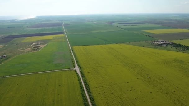 Aerial shot of a highway going through picturesque fileds in Ukraine in spring — Stock Video