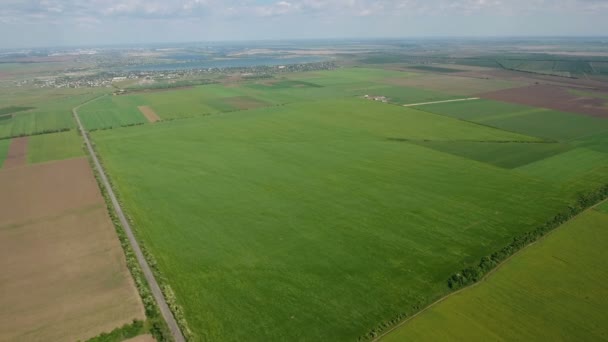 Zdjęcia lotnicze wielobarwny pola w Europie Wschodniej w późnej wiosny — Wideo stockowe