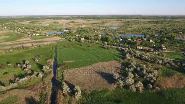 小さな湖、夏のコテッジおよび夏にウクライナの reedbeds の空中ショット — ストック動画