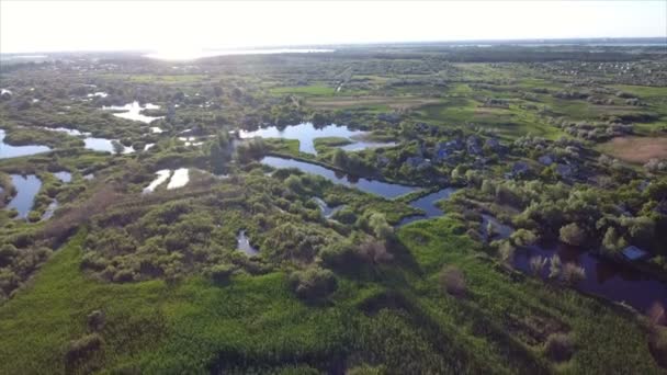 Vue aérienne de petits lacs et roselières avec beaucoup de canne, et se précipiter en Ukraine — Video