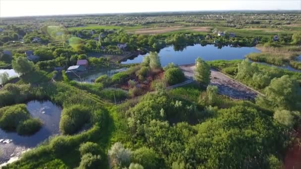Letecký snímek malých jezer a rákosiny se spoustou cukrové třtiny a spěch na Ukrajině — Stock video