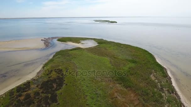 Légi felvétel a tó és a zöld vizes élőhelyek, egy napsütéses napon Dzharylhach-sziget — Stock videók