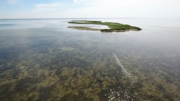 Luchtfoto van Dzharylhach island en een eenzame vliegen en duiken Aalscholver — Stockvideo