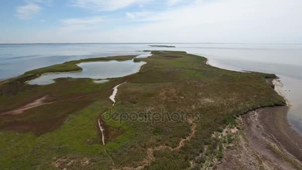 Foto aérea de la isla de Dzharylhach con sus lagos y humedal verde en verano — Vídeo de stock