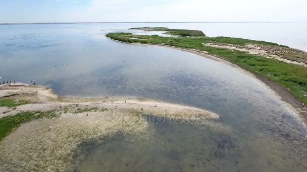 Lanzamiento aéreo de una saliva de arena de la isla de Dzharylhach y aves voladoras solitarias — Vídeos de Stock
