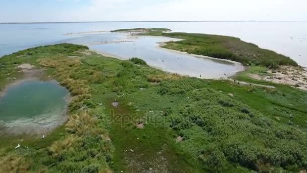 Letecký snímek křivky pobřeží ostrova v černém moři s lonely ptáky — Stock video