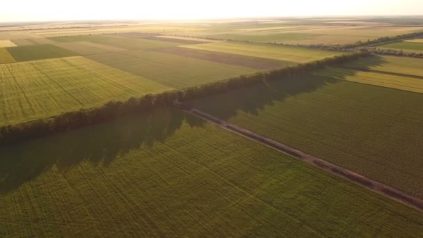 Letecký snímek vícebarevné venkovských oboru v Evropě Ukrajina ve slunečný den — Stock video