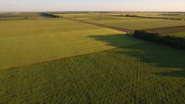 Flygfotografering över vackra ukrainska fälten — Stockvideo