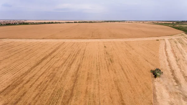 Luchtfoto van een agrarische tarweveld en een oogsten van graan gewas combineren Stockfoto