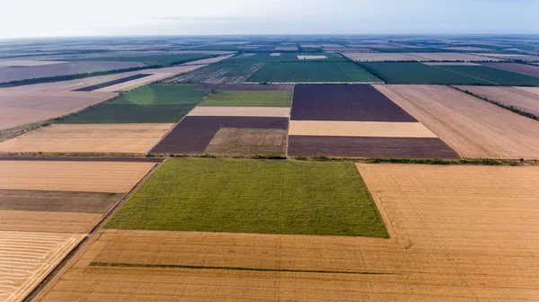Aerial shot of a well-groomed and multicolored field, located in Eastern Europe Royalty Free Stock Photos