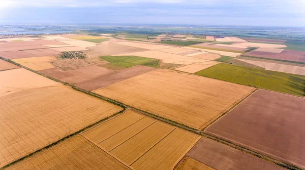 Luchtfoto van een goed geplande veelkleurige veld op een rivieroever in Oost-Europa Rechtenvrije Stockfoto's