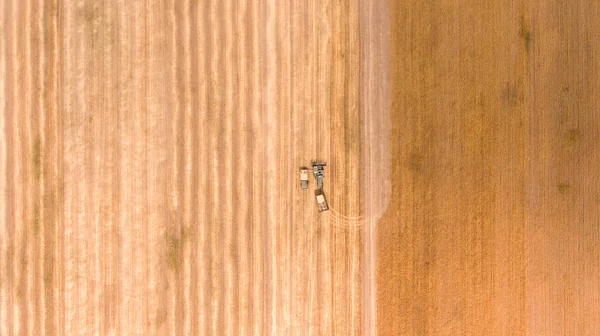 Aerial shot of an agricultural wheat field, a combine harvester  and a truck in Europe Stock Image