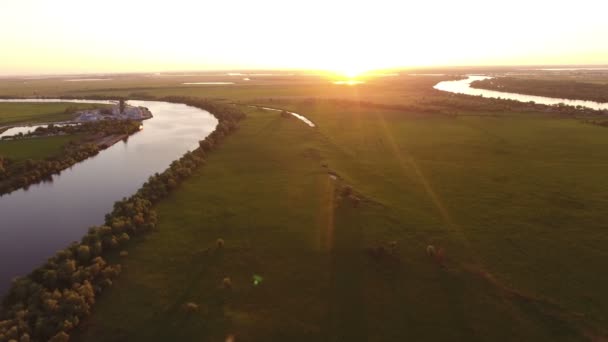 Luchtfoto van de bochtige Dnipro rivier instroom met bomen en wetland bij zonsondergang — Stockvideo