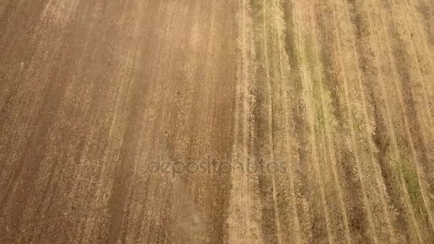 Tiro aéreo de um campo rural e um grande trator que puxa uma grade no verão — Vídeo de Stock