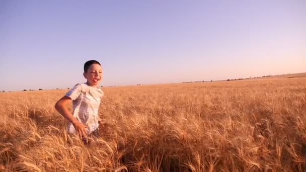 Rapaz feliz corre ao longo de um campo de trigo com picos maduros e sorrisos em slo-mo — Vídeo de Stock