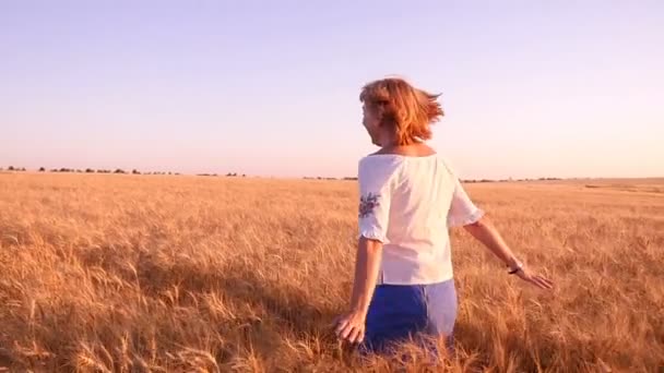 Весела молода жінка біжить вперед руками в сторону пшеничного поля в шлю-мо — стокове відео