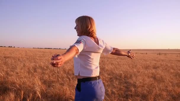 Ελκυστική νεαρή γυναίκα γυρίζει γύρω με τα χέρια στην άκρη σε ένα πεδίο σιτάρι σε slo-mo — Αρχείο Βίντεο