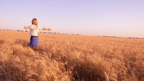 Mulher loira alegre vira-se com as mãos de lado em um trigo arquivado em slo-mo — Vídeo de Stock