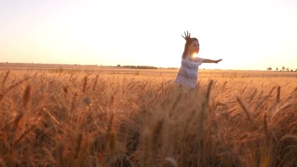 Vrolijke jongen draait zich om met handen opzij op een tarweveld in een zomer in slo-mo — Stockvideo