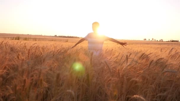 Chico alegre se da la vuelta con las manos a un lado en un campo de trigo en un verano en slo-mo — Vídeo de stock