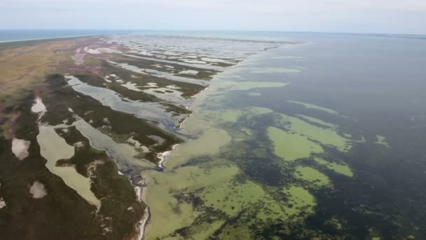 Letecký snímek ostrova Dzharylhach s jeho tenké jezer a zelené mokřadní — Stock video