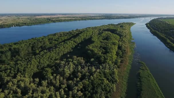 Colpo aereo del bacino del fiume Dnipro con file di alberi selvatici, un isolotto, afflussi — Video Stock