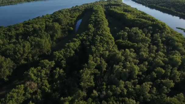 Zdjęcia lotnicze z Dnipro river wpływów, duże zielone drzewa, wśród nich w lecie — Wideo stockowe