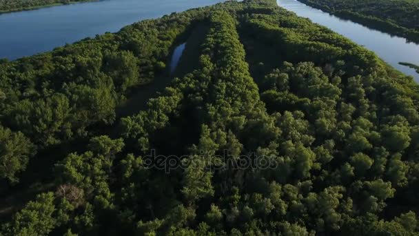 Zdjęcia lotnicze z Dnipro river wpływów, duże zielone drzewa, wśród nich w lecie — Wideo stockowe