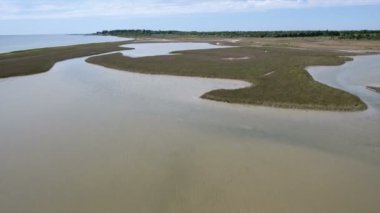 Karadeniz raf sulak, saz ve bulrush yaz aylarında hava atış