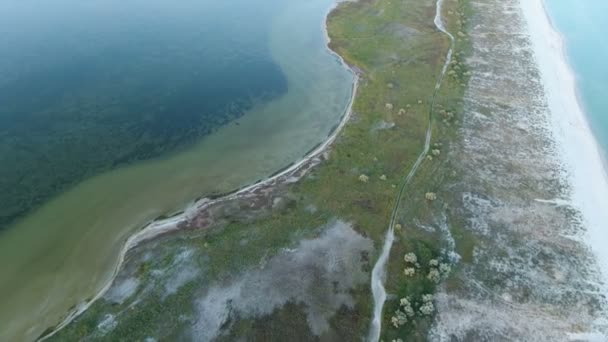 Tiro aéreo de uma ilha com uma longa costa arenosa e zonas húmidas no Mar Negro — Vídeo de Stock