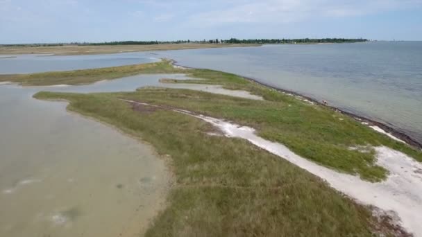緑の湿原と夏にまかり通って黒海の浅瀬の空中ショット — ストック動画