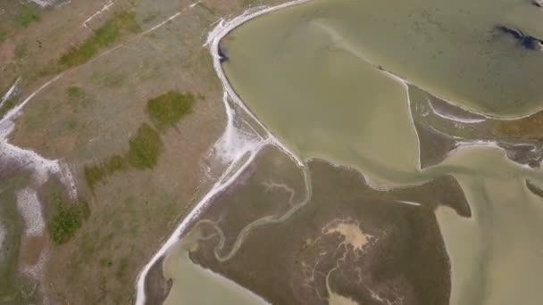 Luchtfoto van de Zwarte Zee shoal met wild wetland en bochtige kust — Stockvideo