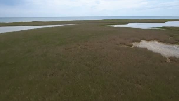 Foto aérea de la plataforma del Mar Negro con humedal verde y junco en verano — Vídeos de Stock