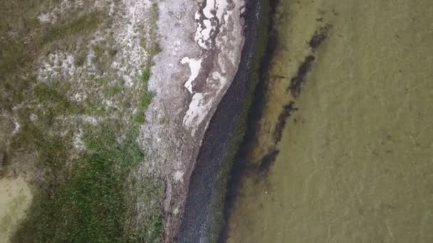 Foto aerea della costa del Mar Nero con erbacce, macchie sabbiose, piscine e zone umide — Video Stock