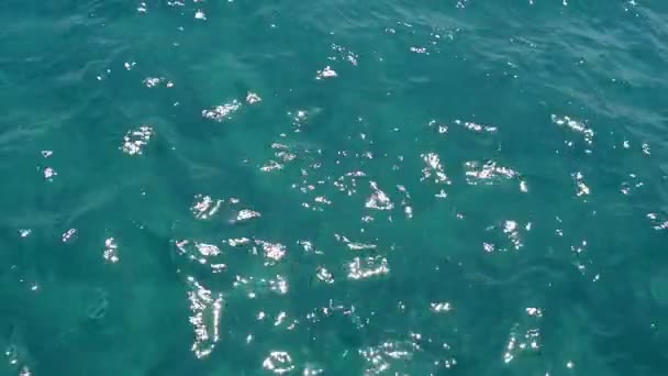 Las aguas brillantes y juguetonas del mar Egeo en un día soleado en verano — Vídeo de stock