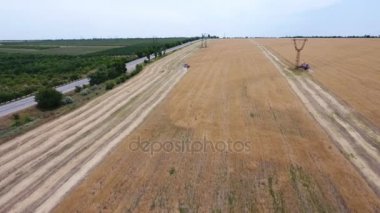 Bir birleştirme hasat yeşil bir bahçe yakınındaki olgun buğday hasat hava atış